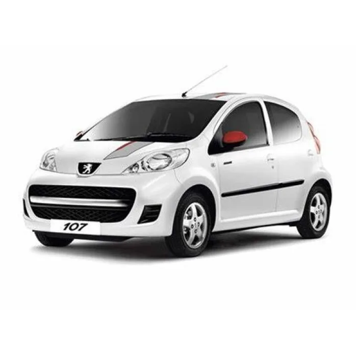 Peugeot 107 2005 - 2014 Double Din Fascia / Wiring / Antenna Adapter Kit