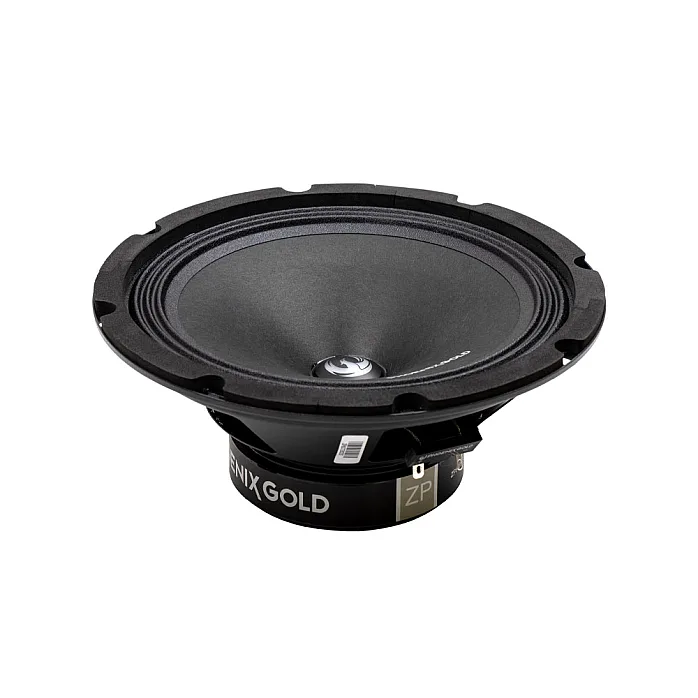 Phoenix Gold ZP8 ZP-Series 8” Pro Audio Midrange Speaker
