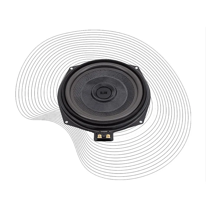 BLAM BL-BM200WN Relax BMW 200mm (8") Extra Flat Underseat Car Subwoofers (PAIR)