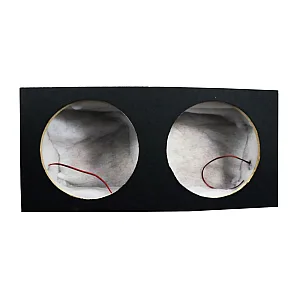12SUBSD Premium 12" Dual Sealed Subwoofer Enclosure - Black