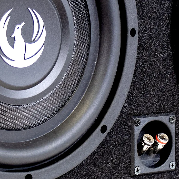 Phoenix Gold ZX210PBSi ZX Series Dual 10" Max Down Firing Slim Loaded Enclosure 700W